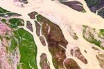 君臣游园 1下载