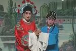 呆子附马 全集下载