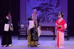 春草闯堂 全集