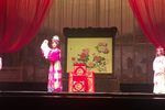 打金枝闯宫下载