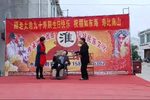 新媳妇上门下载