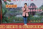 红楼梦 你我好似覆巢鸟 选段下载
