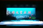 浪起宝应湖 全集下载