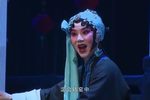 鸿雁传书 选段