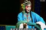 蔡金莲告状 全集