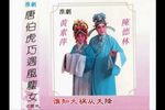 唐伯虎巧遇风尘女 选段