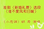 新婚礼葬 谁不爱风和日暖 选段下载