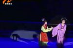 莲子 下集下载