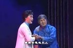 淮剧梁国英代表唱段集锦三下载