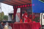 碧玉簪