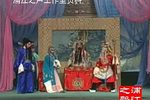 三请樊梨花 七下载