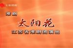 太阳花 全集下载