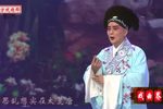 卖油郎独占花魁 选段下载