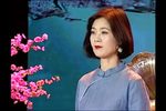 秦香莲后传 选段下载