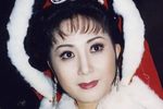 王昭君 下集下载