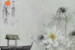淮剧表演艺术家筱文艳艺术作品演唱会下载