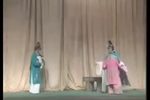 呆子附马 9下载