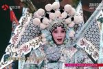 百岁挂帅登高丘 选段