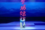 雪域烛印 全集