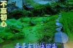 哑女告状赴京下载