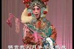 女审下载