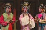 春草闯堂 1下载