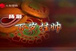 百岁挂帅 全集
