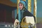 安寿保卖身 1