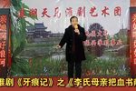 牙痕记 李氏母亲把血书献 选段