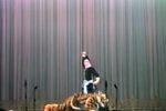 义侠记 打虎游街下载