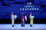 杀狗记 全集下载