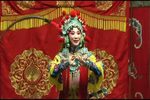 百花赠剑下载