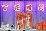 百花赠剑下载