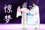 牡丹亭 惊梦