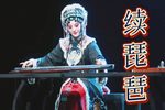 续琵琶 全集