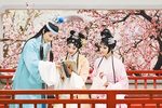 红楼梦 全集下载