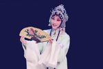 孽海记 思凡