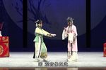燕子笺 看画写笺