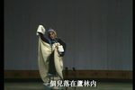 躍鯉記 蘆林下载