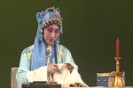 疗妒羹题曲下载