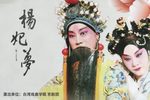杨妃恨 全集下载