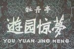 牡丹亭游园惊梦下载