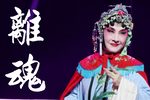 牡丹亭 离魂下载