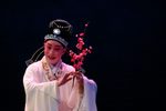 西园记 全集下载