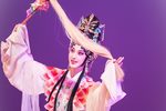 临川四梦 南柯梦记 全集
