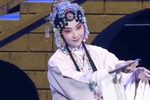 牡丹亭 游园 选段下载