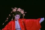 梦蝶 3