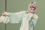 牡丹亭 寻梦下载