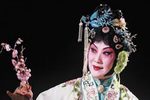 孽海记 思凡下载