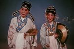 墙头马上下载